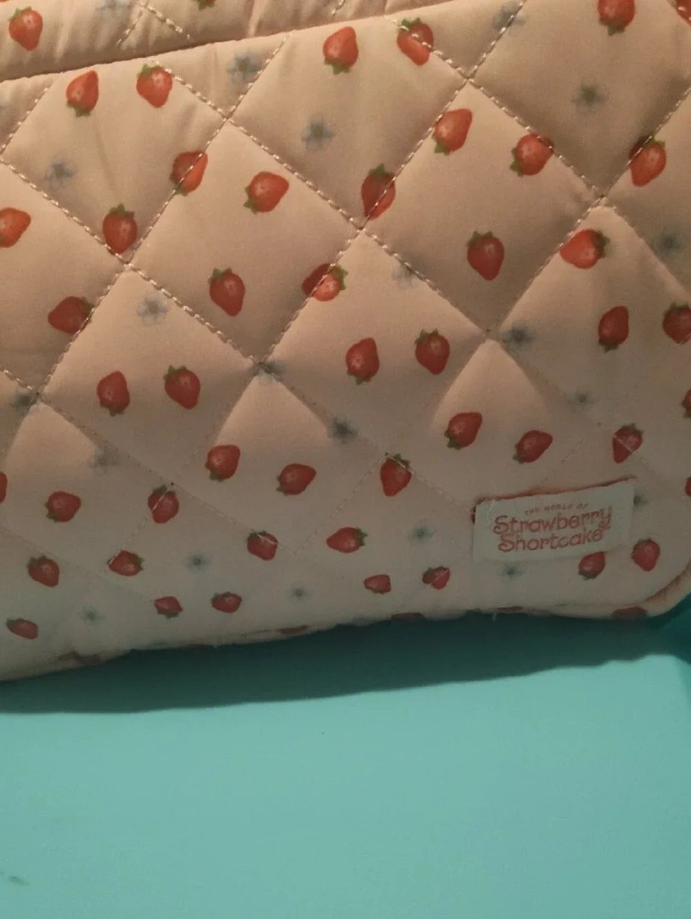 Strawberry Shortcake Bag